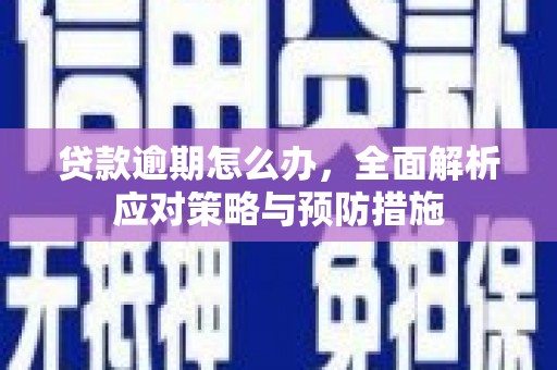 新邱贷款逾期怎么办，全面解析应对策略与预防措施