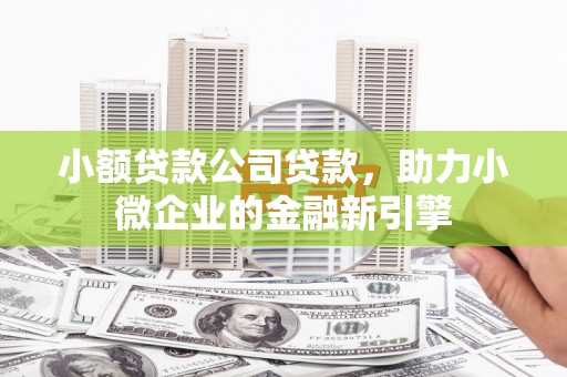 新邱小额贷款公司贷款，助力小微企业的金融新引擎