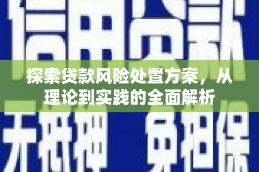 新邱探索贷款风险处置方案，从理论到实践的全面解析