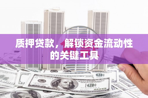 新邱质押贷款，解锁资金流动性的关键工具
