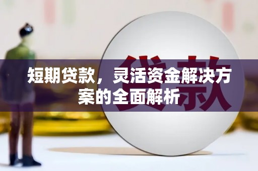 新邱短期贷款，灵活资金解决方案的全面解析