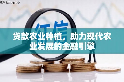 新邱贷款农业种植，助力现代农业发展的金融引擎