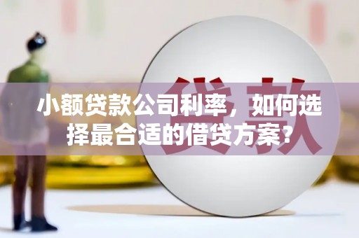 新邱小额贷款公司利率，如何选择最合适的借贷方案？