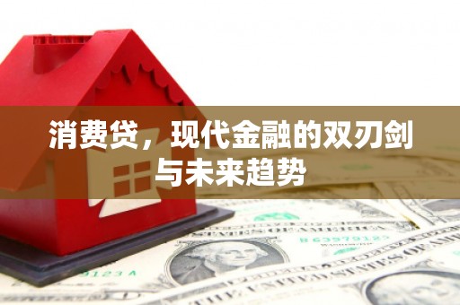 新邱消费贷，现代金融的双刃剑与未来趋势