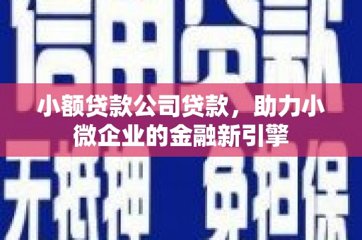 新邱小额贷款公司贷款，助力小微企业的金融新引擎