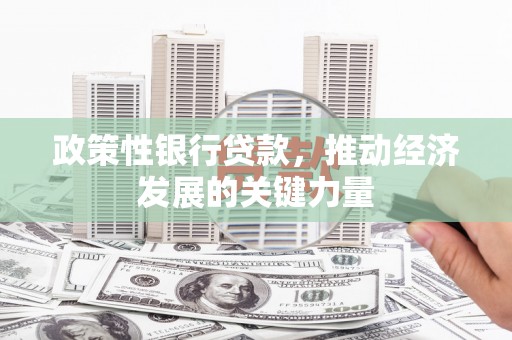 新邱政策性银行贷款，推动经济发展的关键力量