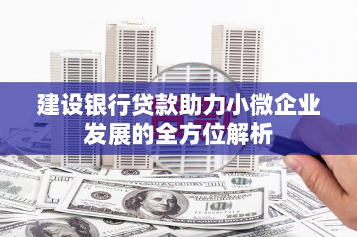 新邱建设银行贷款助力小微企业发展的全方位解析