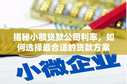 新邱揭秘小额贷款公司利率，如何选择最合适的贷款方案