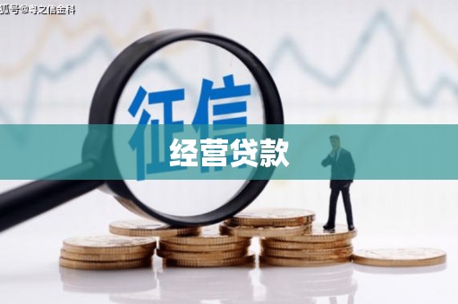 新邱经营贷款