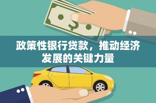 新邱政策性银行贷款，推动经济发展的关键力量