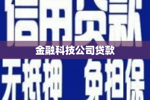 新邱金融科技公司贷款