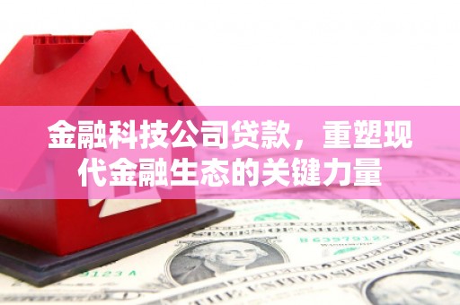 新邱金融科技公司贷款，重塑现代金融生态的关键力量