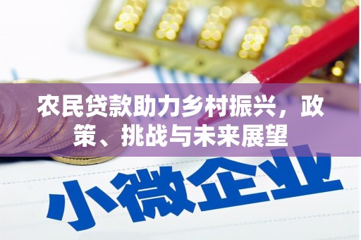 新邱农民贷款助力乡村振兴，政策、挑战与未来展望