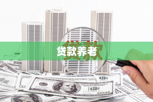 新邱贷款养老