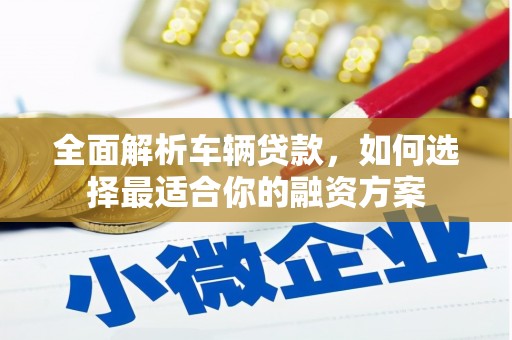 新邱全面解析车辆贷款，如何选择最适合你的融资方案
