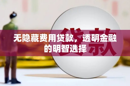 新邱无隐藏费用贷款，透明金融的明智选择