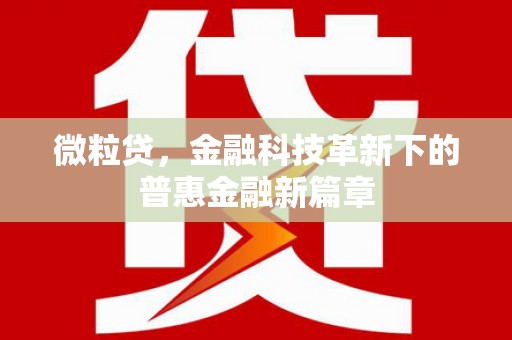 新邱微粒贷，金融科技革新下的普惠金融新篇章