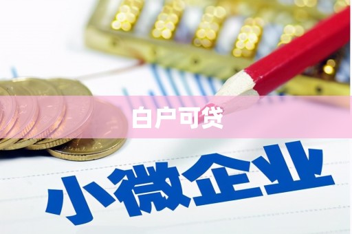 新邱白户可贷