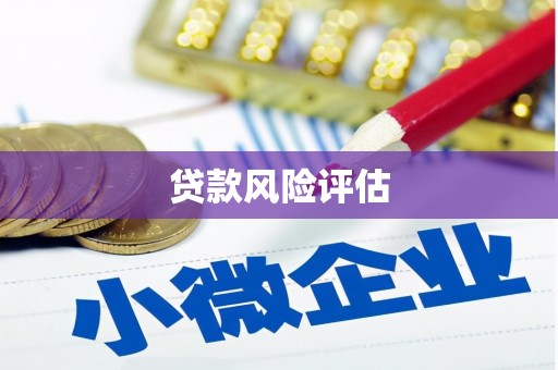 新邱贷款风险评估