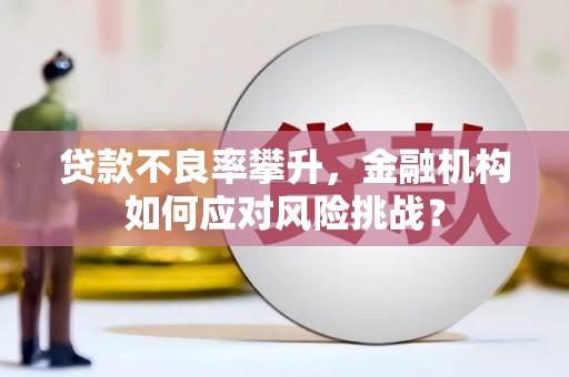 新邱贷款不良率攀升，金融机构如何应对风险挑战？