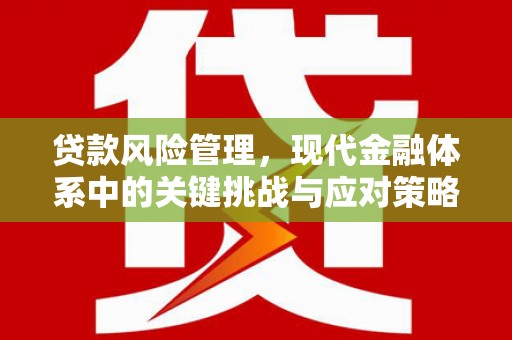新邱贷款风险管理，现代金融体系中的关键挑战与应对策略