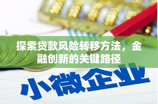 新邱探索贷款风险转移方法，金融创新的关键路径