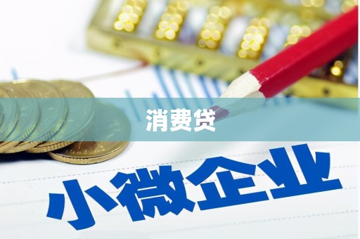 新邱消费贷