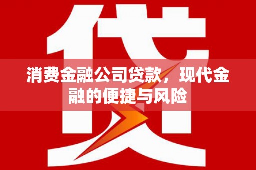 新邱消费金融公司贷款，现代金融的便捷与风险