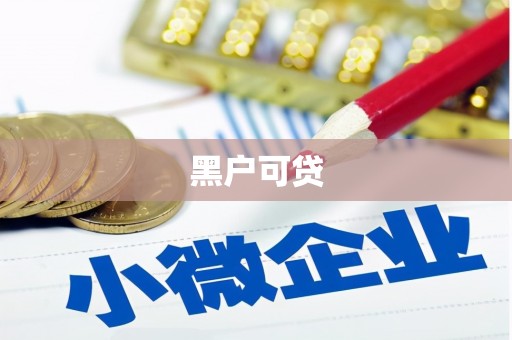 新邱黑户可贷