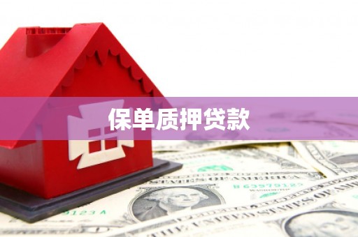 新邱保单质押贷款