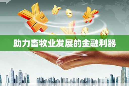 新邱助力畜牧业发展的金融利器