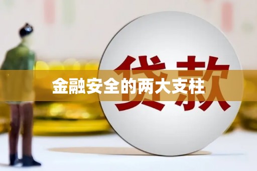 新邱金融安全的两大支柱