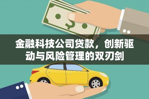 新邱金融科技公司贷款，创新驱动与风险管理的双刃剑